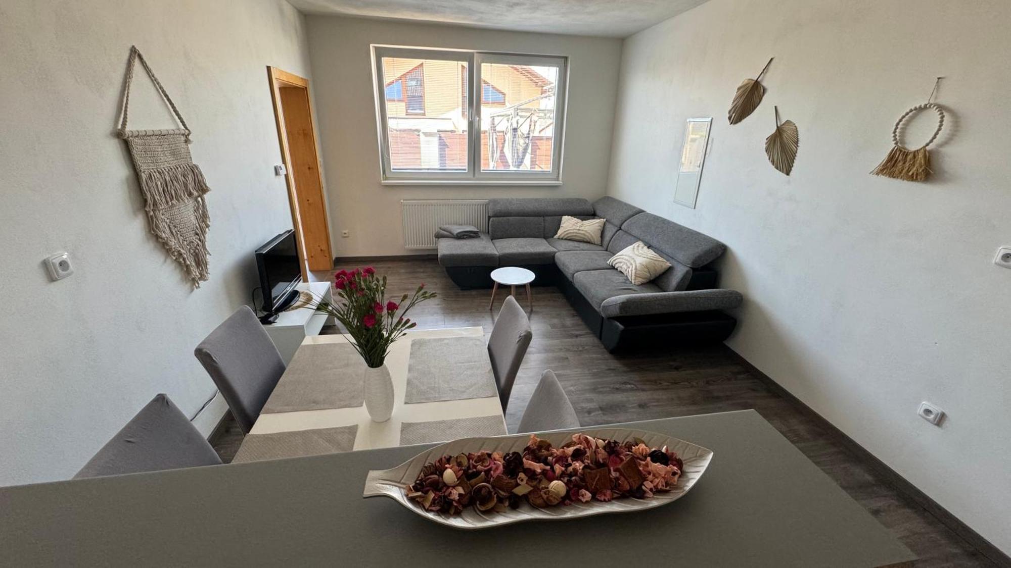 Apartmán Lilly Borovany  Kültér fotó